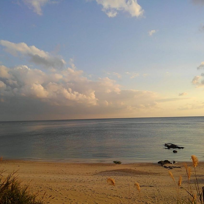 奄美の伝統行事　-豊年祭（１）